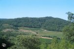 TERRAIN A B�TIR, Pierrefeu du Var